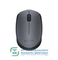 WIRELESS MOUSE M171 - GREY